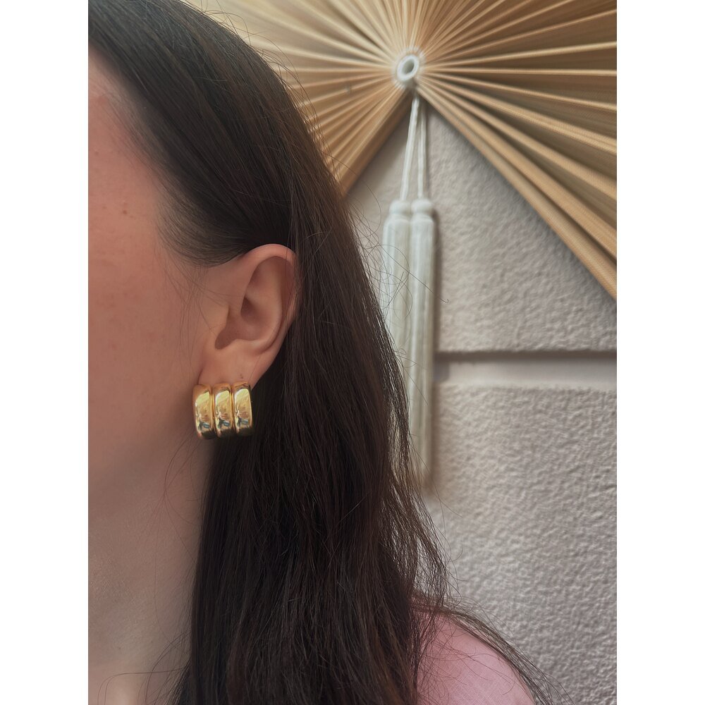 Sıralı Halka Çelik Küpe